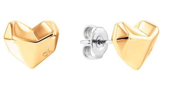 Calvin klein heart earrings online