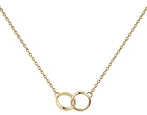 Daniel Wellington Unity Necklace DW00400219 