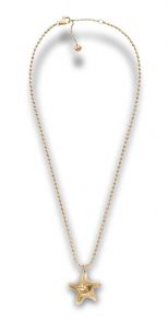 Skagen Moderne Ikon SKJ1899710 